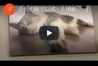 サチのユーチューブイメージ